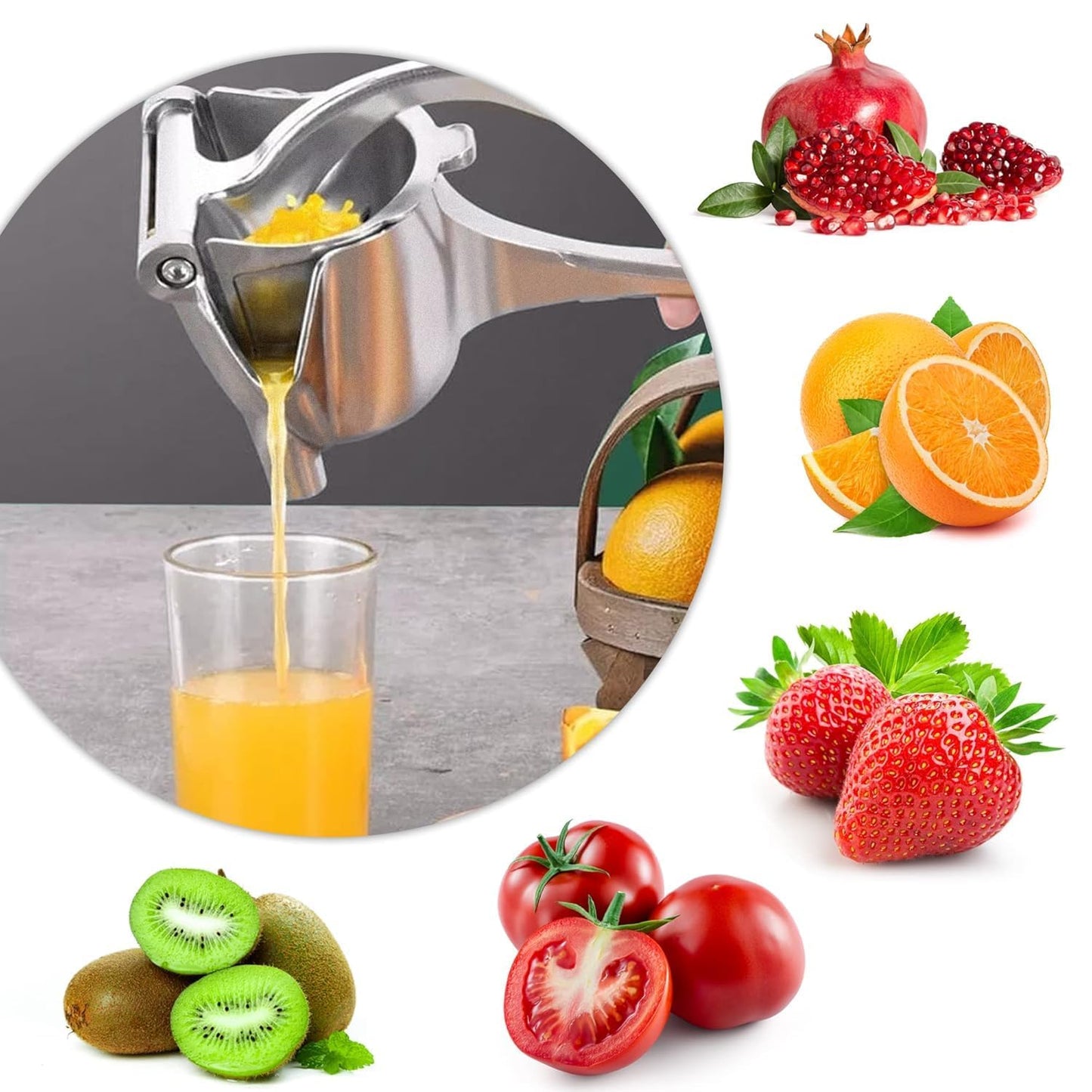 Manual Fruit Juicer Heavy Duty Aluminium Compact