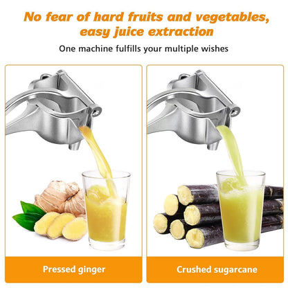 Manual Fruit Juicer Heavy Duty Aluminium Compact